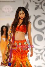 Model walks the ramp for Archana Kocchar at Aamby Valley India Bridal Week day 5 on 2nd Nov 2010 (52).JPG